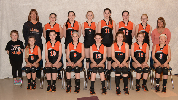 2015 IESA 8-1A  Girls Volleyball Champions