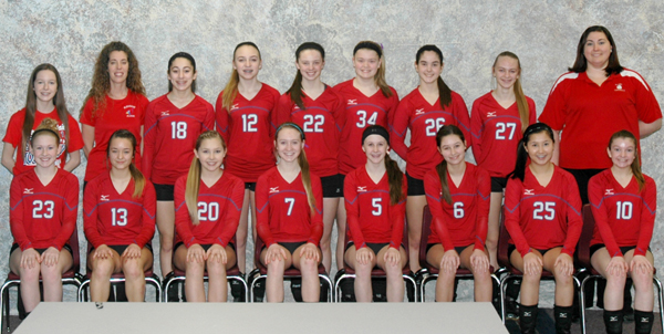 2014 IESA 8-3A  Girls Volleyball Champions