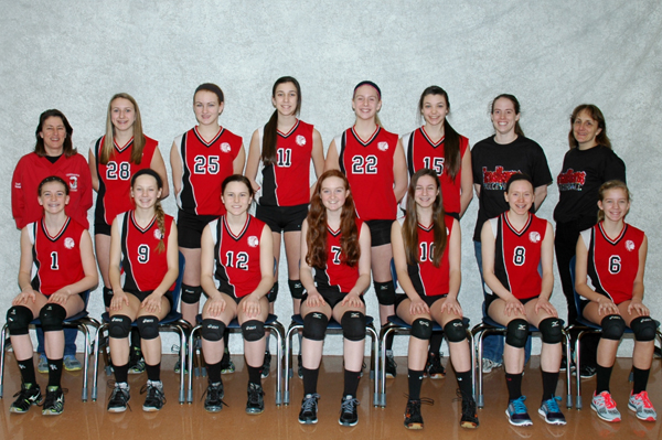 2014 IESA 8-4A  Girls Volleyball Champions