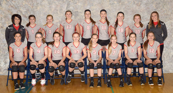 2015 IESA 7-4A  Girls Volleyball Champions