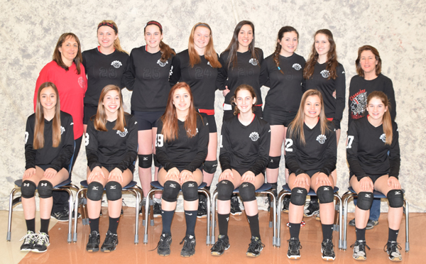 2015 IESA 8-4A  Girls Volleyball Champions