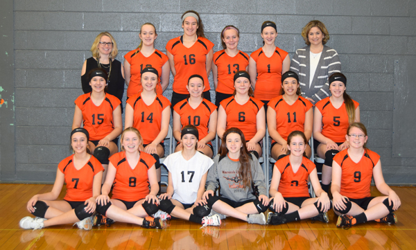 2017 IESA 7-4A  Girls Volleyball Champions